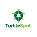 Logo Tortue Spot