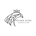 Logo Hawk King