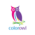 Logo hibou de couleur